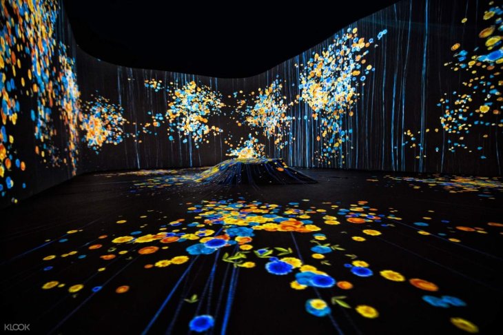 Vuon Anh Sang Da Lat 3