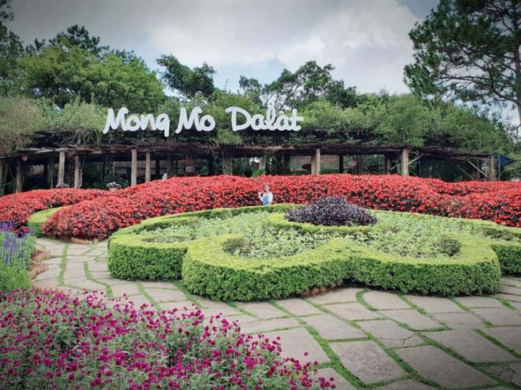 Doi Mong Mo Tai Da Lat