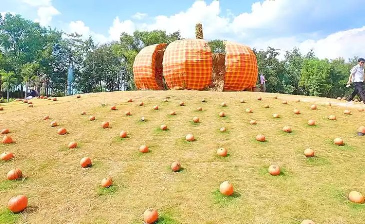 Gioi Thieu Vuon Bi Ngo Khong Lo Da Lat