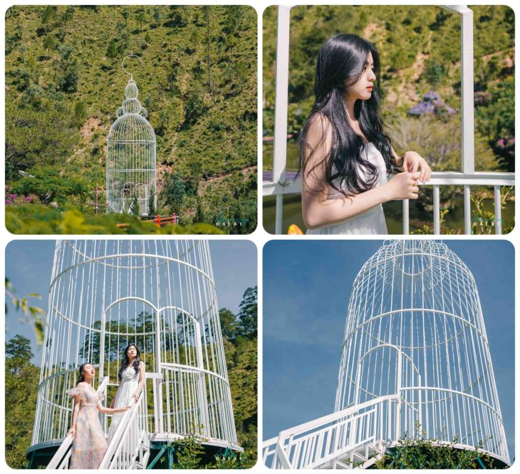 Long Chim Bang Sat Tai Kdl Quy Nui