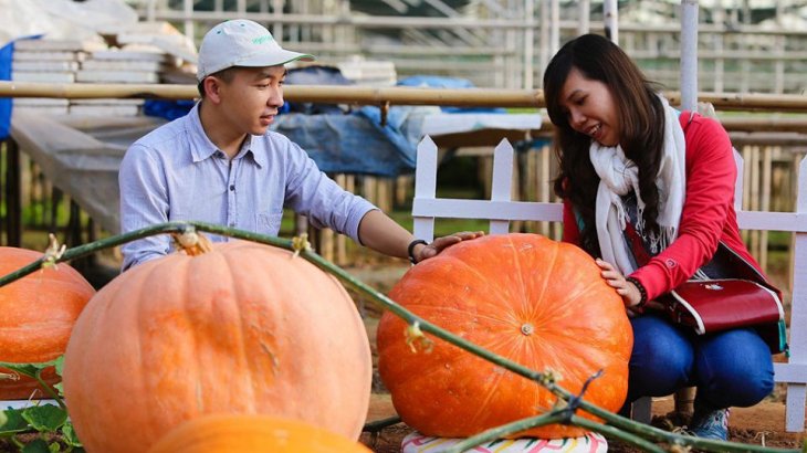 Vuon Bi Ngo Khong Lo Da Lat 4