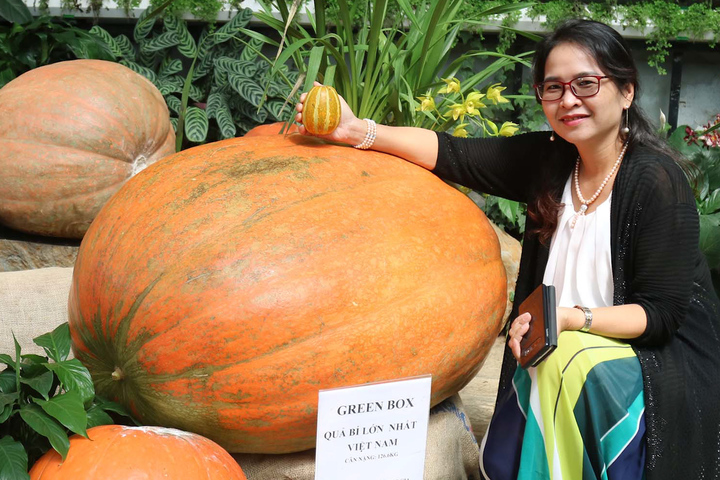 Vuon Bi Ngo Khong Lo Da Lat 5