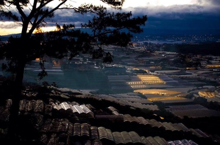 Thanh Pho Da Lat Ve Dem Cafe Panorama 1