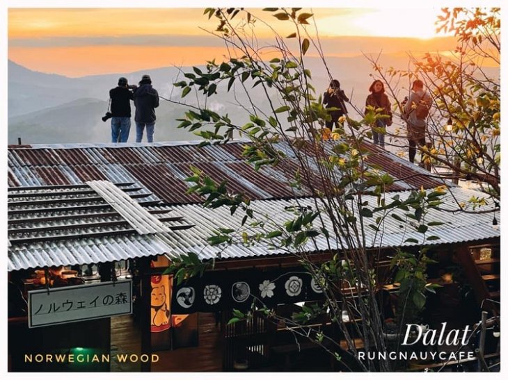 Thanh Pho Da Lat Ve Dem Rung Na Uy 1