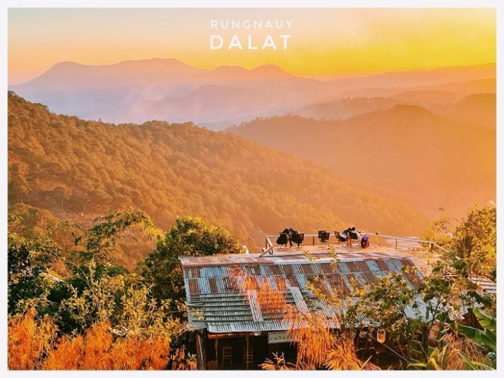 Thanh Pho Da Lat Ve Dem Rung Na Uy