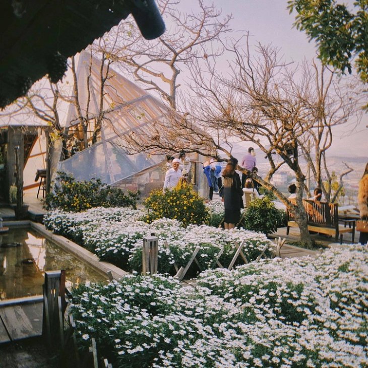 Cafe View Dep Da Lat Tui Mo To 2