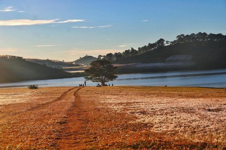 Dia Diem Du Lich Da Lat 4 Ngay 3 Dem Cay Thong Co