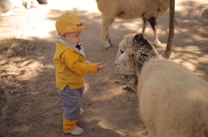 Dia Diem Du Lich Da Lat 4 Ngay 3 Dem Vuon Thu Zood