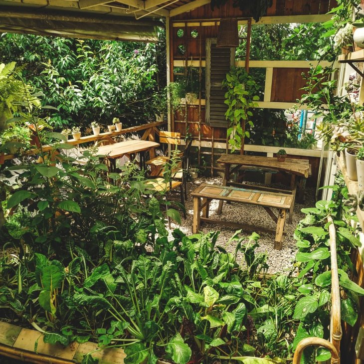 cây xanh trang trí tại An Cafe