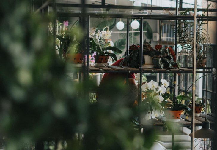 cây cảnh tại Nhà Lồng coffee