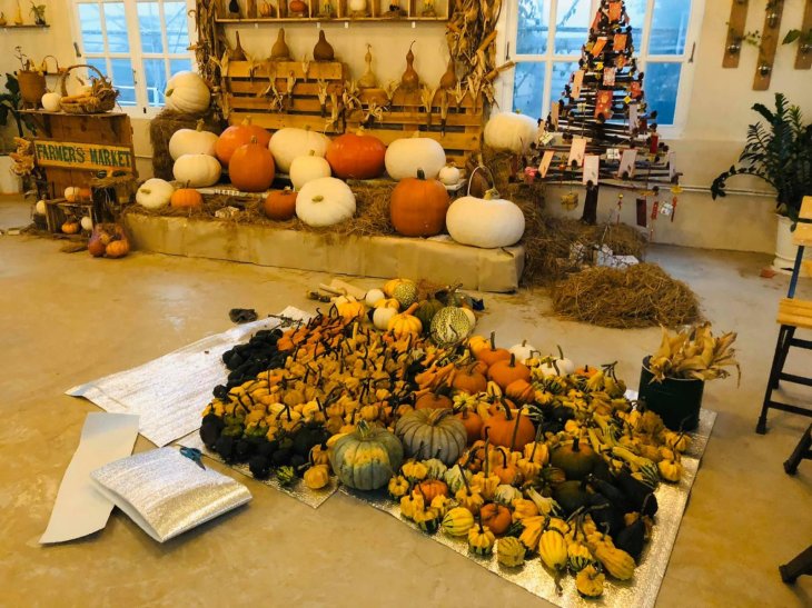 Vuon Bi Ngo Khong Lo 1