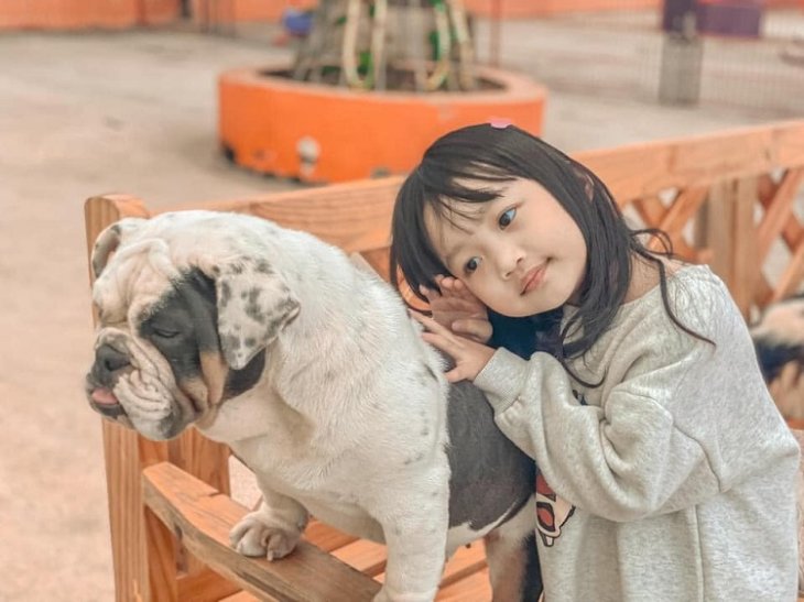 Nong Trai Cun Puppy Farm