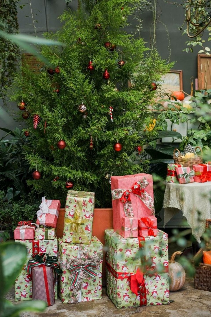 Khu Vuon Mua He Cafe Giang Sinh O Da Lat 1