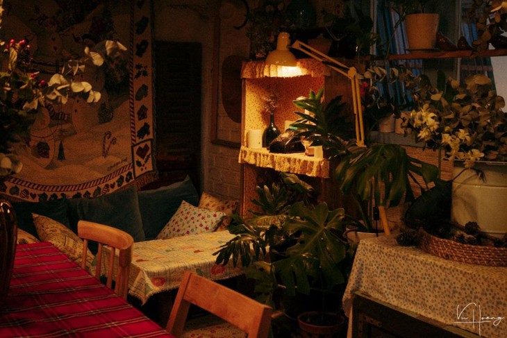 259497250 310222474208055 1882894501567507427 N