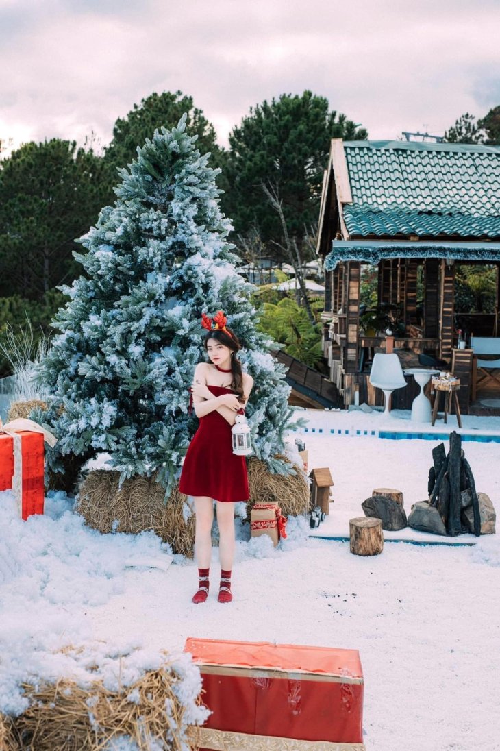 Giang Sinh Kdl Cap Treo Da Lat 2