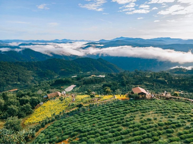 Ngam Nhin Cau Go San May Da Lat Tu Tren Cao