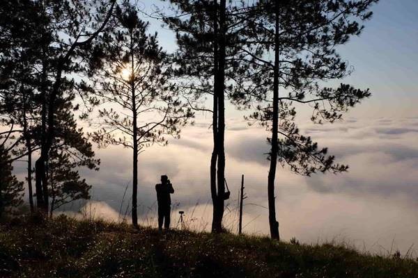 Trai Nghiem San May Da Lat