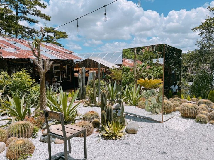 Cafe Near Coffee Dalat