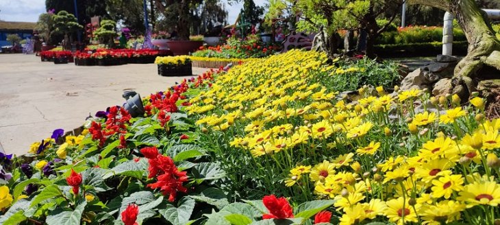 Vuon Hoa Thanh Pho Da Lat 1