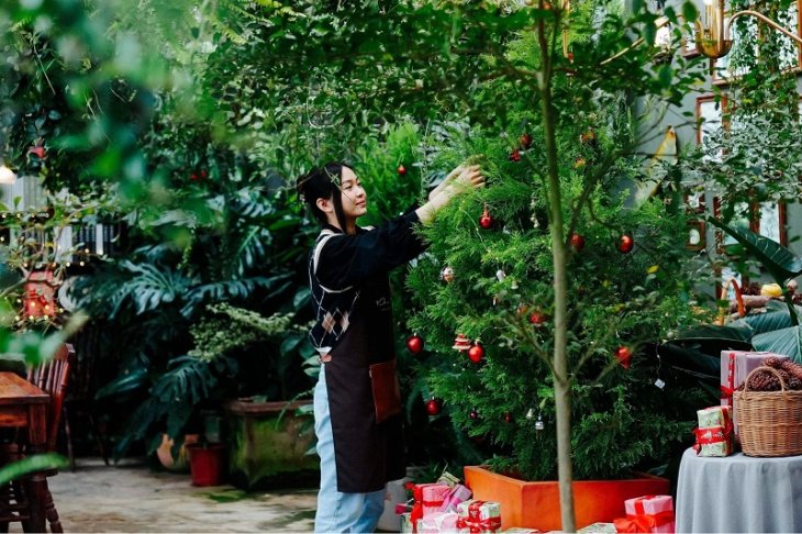 Khu Vuon Mua He Quan Cafe Giang Sinh Da Lat 1