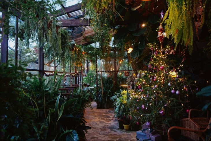 Khu Vuon Mua He Quan Cafe Giang Sinh Da Lat