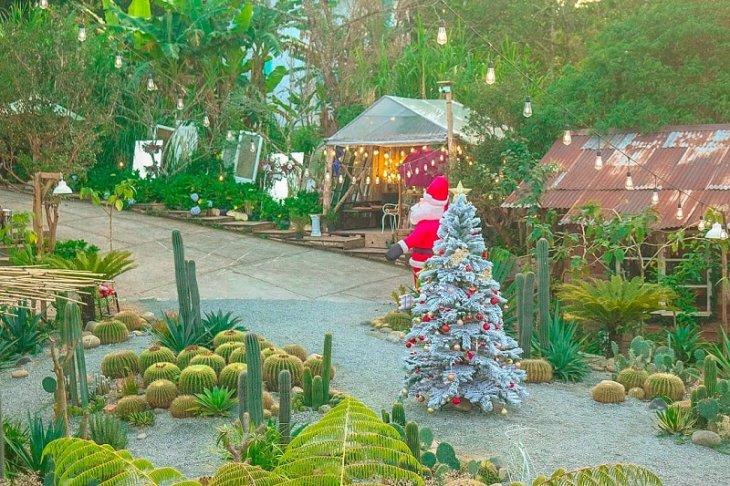 Near Coffee Dalat Quan Cafe Giang Sinh Da Lat 2