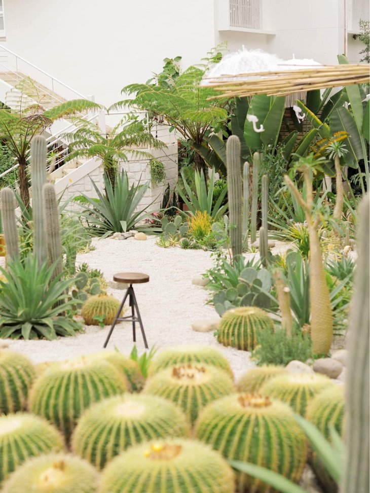 Near Coffee Da Lat 2