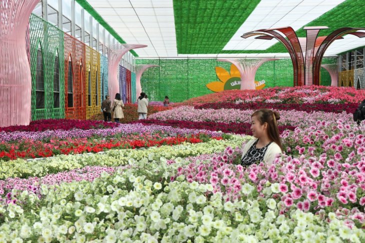 Festival Hoa Da Lat 2022 