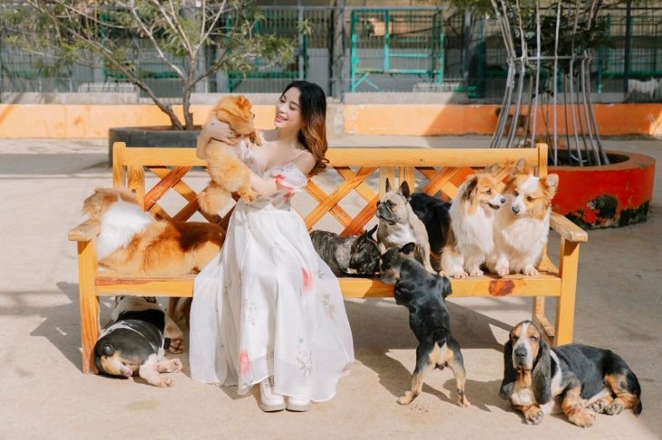 Nong Trai Cun Puppy Farm