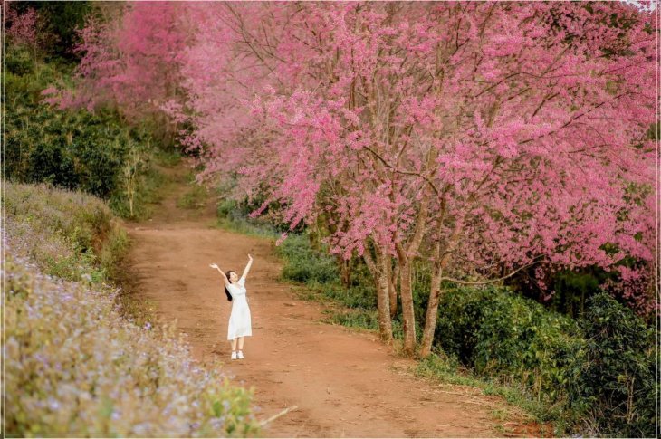 Check In Cung Mai Anh Dao Da Lat