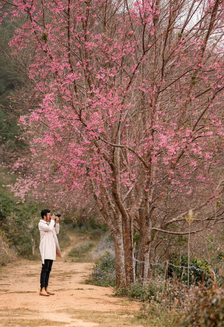 mai anh dao da lat 1