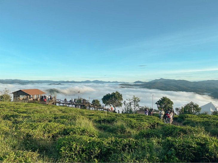 Cau Go San May Cau Dat Da Lat