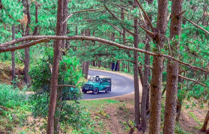 Di Xe Jeep Len Dinh Lang Biang