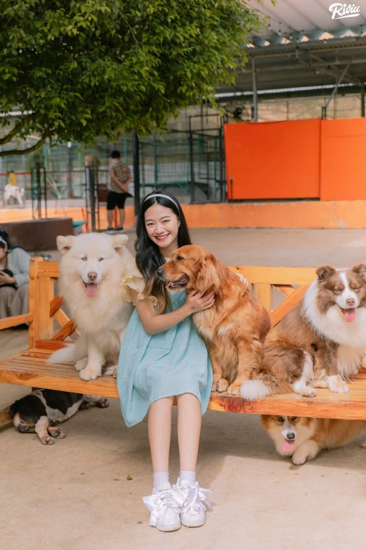 Nong Trai Cun Puppy Farm