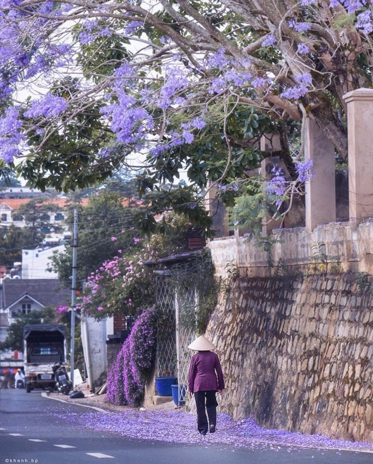 Phuong Tim Da Lat Thang 3