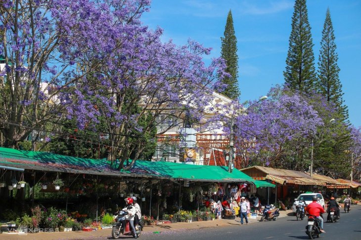 Phuong Tim Nguyen Thi Minh Khai