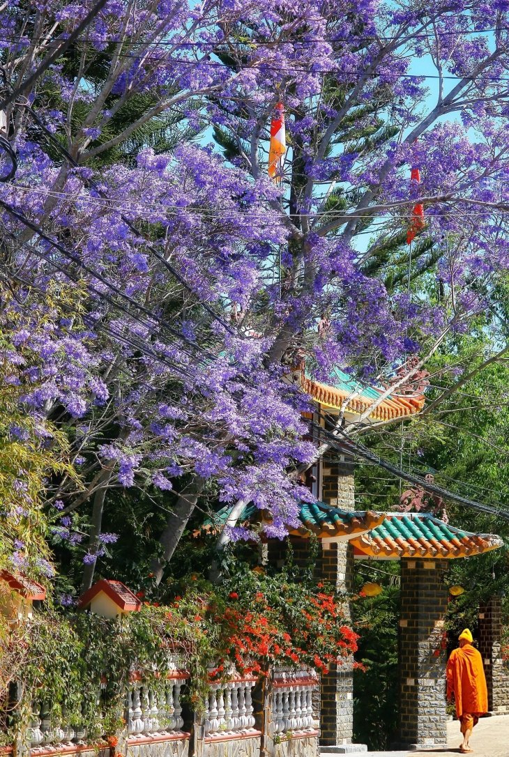 Phuong Tim Tinh Xa Ngoc Duc