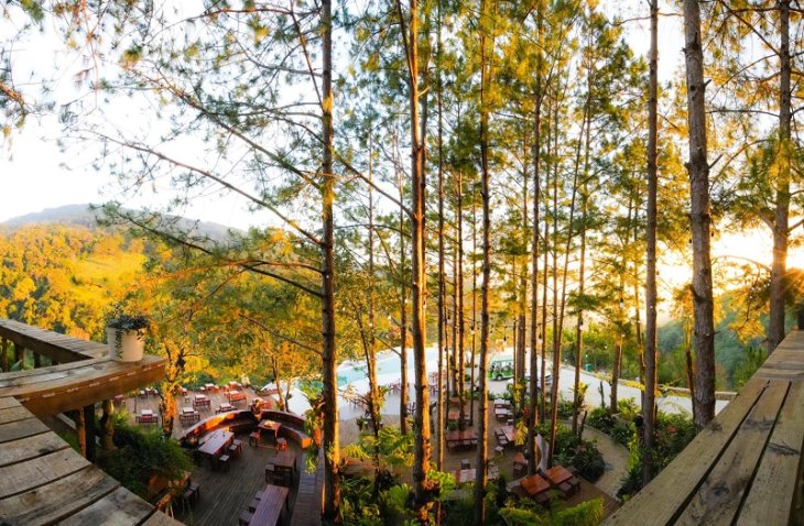 Cao Nguyen Hoa Da Lat