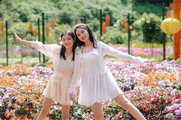 Thung Lung Hoa Kdl Thuy Thuan Da Lat