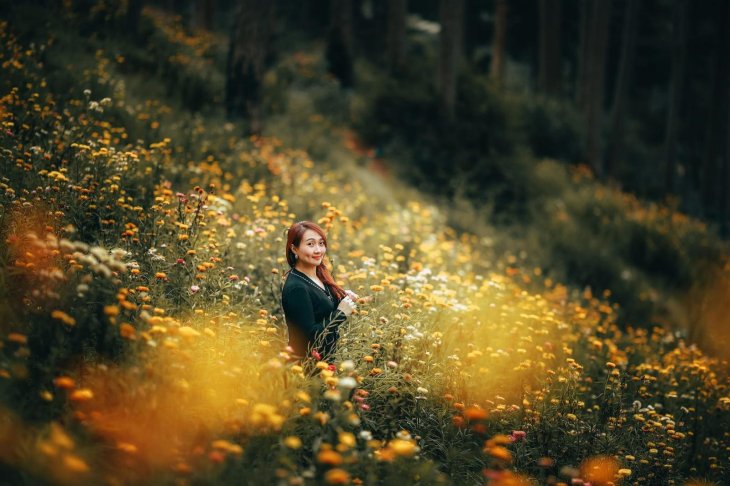 Rung Cuc Bat Tu Da Lat