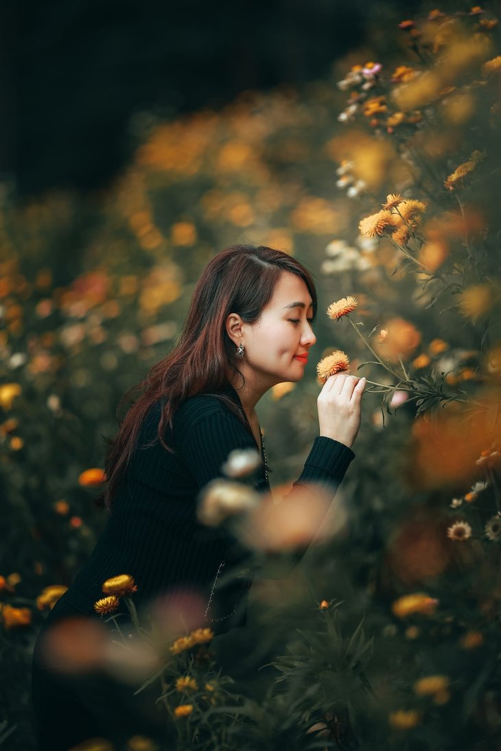 Rung Hoa Cuc Bat Tu Da Lat 1