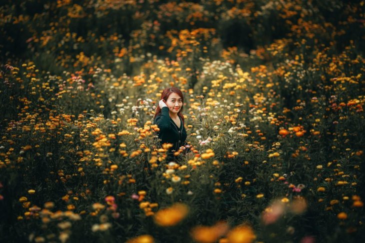 Rung Hoa Cuc Bat Tu Da Lat 2