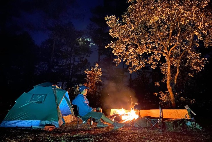 91782310 774143903111690 4840124922195869696 O