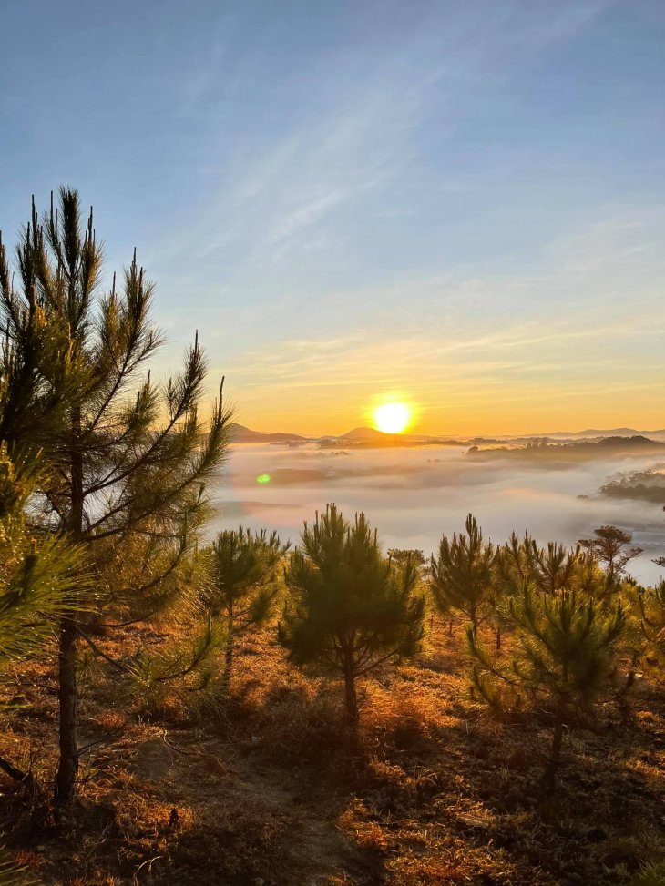 Cam Trai Doi Da Phu 2