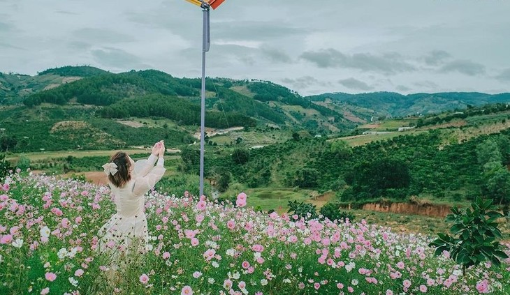 Thung Lung Hoa Ta Nung 15