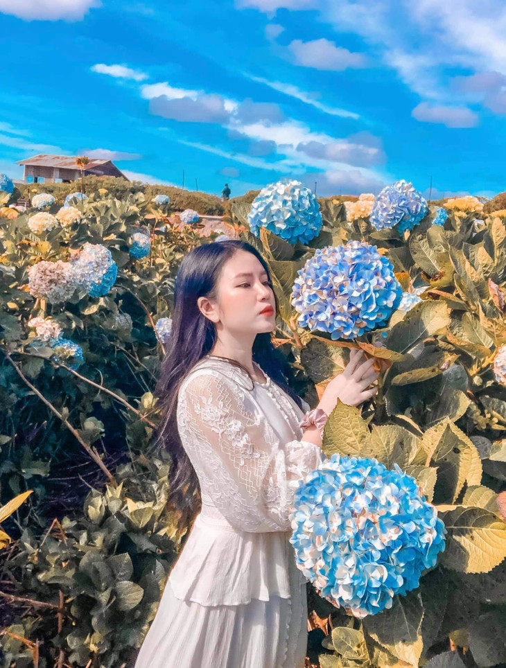 Vuon Hoa Cam Tu Da Lat 11