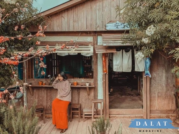 Phoi Do Check In Cafe Da Lat