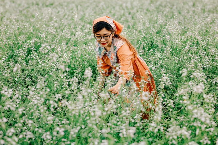 Vuon Hoa Cai Trang Da Lat