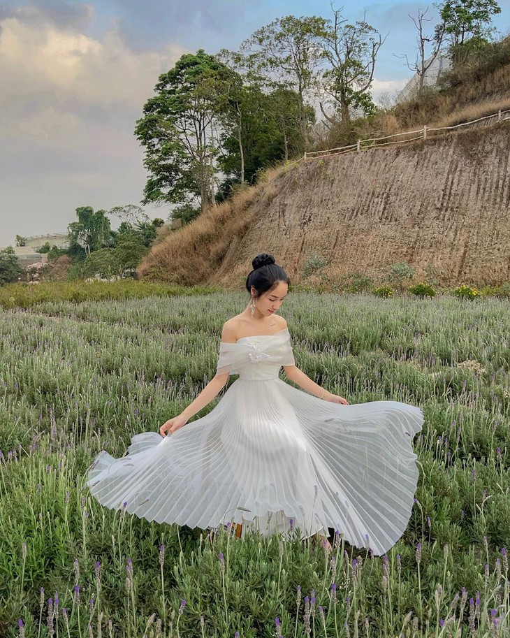 Vay Di Vuon Hoa Lavender Da Lat