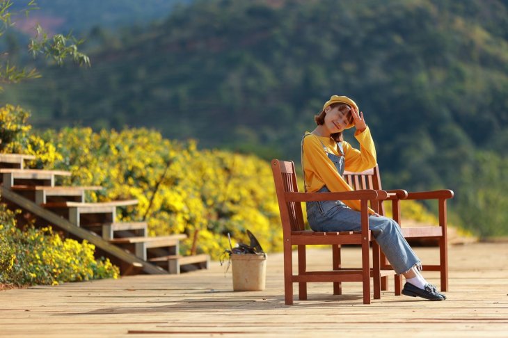 hoa cuc chi The Florest 1